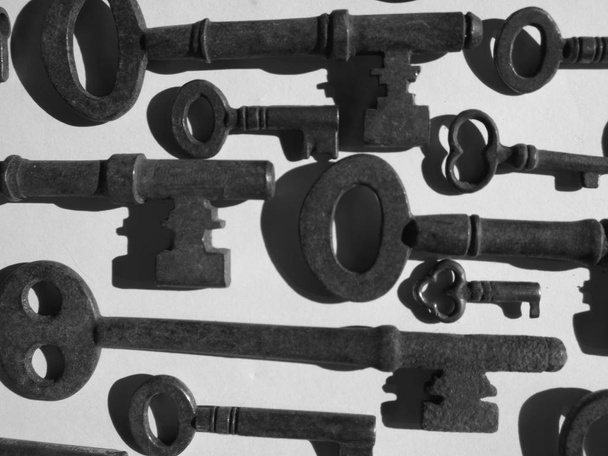 آشپزی کوتاه در دل طبیعت: ۲۵ تجربه ناب از نی نی سایت