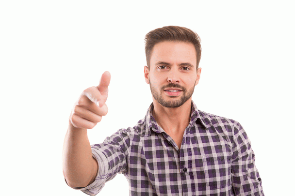 19 تفاوت کلیدی غذای رفلکس گربه با سایر غذاها